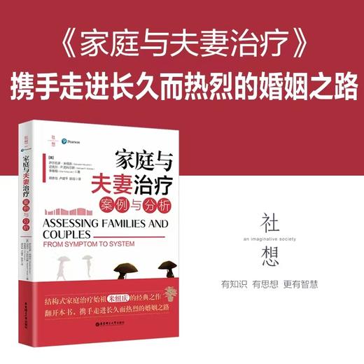 【社想系列4本】家庭与夫妻治疗：案例与分析等 商品图1