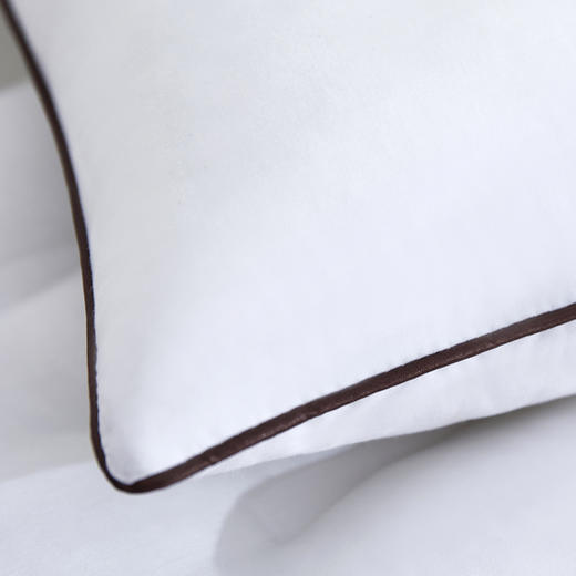 奥若拉茉莉花荞麦定型枕 48*74cm 商品图2