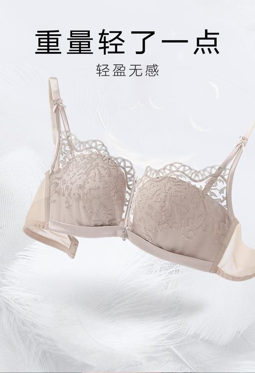5F EmbryForm安莉芳东方魅力蕾丝轻柔杯无钢圈聚拢文胸 商品图3