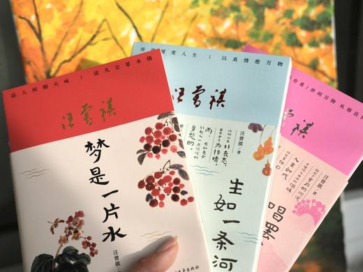 【汪曾祺家人授权审阅版】《汪曾祺“人间有趣”三部曲》（珍藏版软精装全3册）附赠6张汪曾祺手绘水墨插画书签| 治愈人心，当你觉得人生无趣，就读读汪曾祺。 商品图3