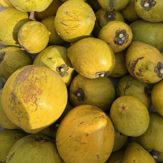 生态鸡蛋果 | 绿家自产 * Eco-lucuma | Self-production 商品图3