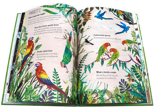 【5-12岁】伦敦皇家艺术学院收藏科普大书 Big Book全5册 赠音频 商品图3