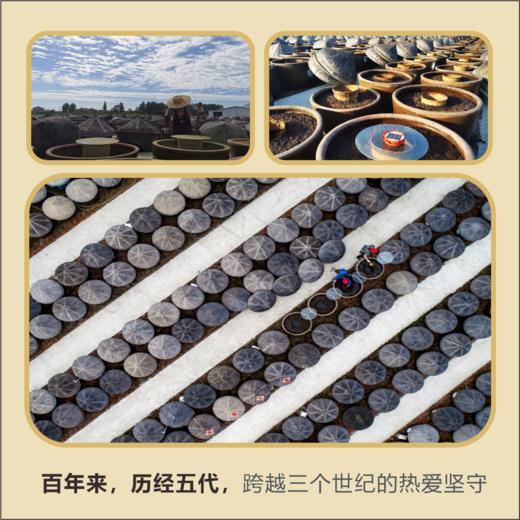 古法生抽 488克 商品图2