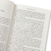 【中商原版】斯科特·菲茨杰拉德系列 爵士时代的故事 英文原版 Tender is the Night Francis Scott Fitzgerald 了不起的盖茨比作者 商品缩略图3