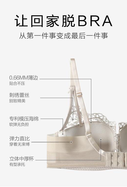 5F EmbryForm安莉芳东方魅力蕾丝轻柔杯无钢圈聚拢文胸 商品图6