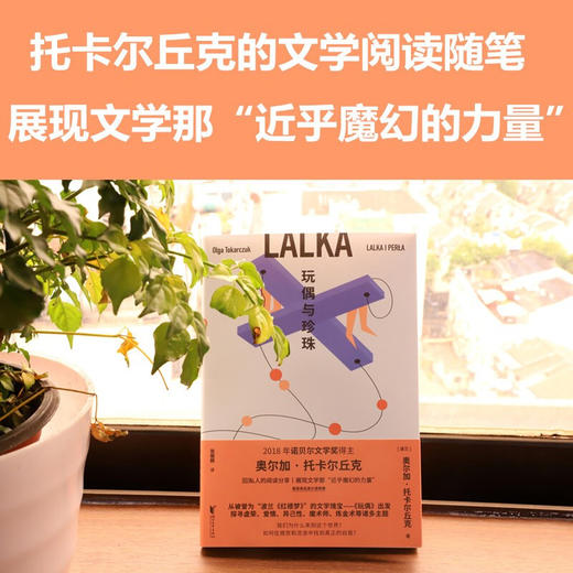 玩偶与珍珠 奥尔加·托卡尔丘克 著 小说 商品图2