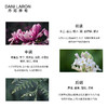 丹尼劳伦 罗纳河系列中性淡香水 天然柑橘花果调香水红霞 商品缩略图3