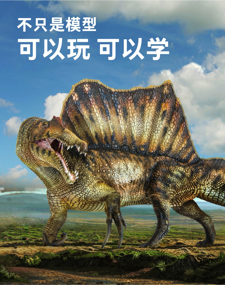 pnso棘龙埃辛恐龙大王成长陪伴模型35