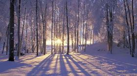 节气养生 | 大雪养生小妙招