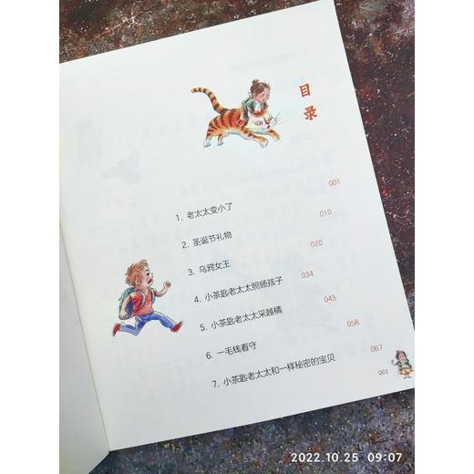 小茶匙老太太 注音全彩美绘版  商品图2