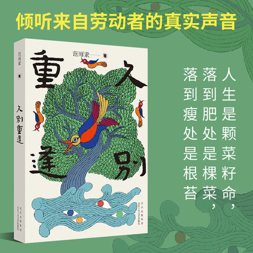久别重逢 范雨素 著 小说 商品图2