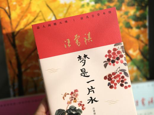 【汪曾祺家人授权审阅版】《汪曾祺“人间有趣”三部曲》（珍藏版软精装全3册）附赠6张汪曾祺手绘水墨插画书签| 治愈人心，当你觉得人生无趣，就读读汪曾祺。 商品图4