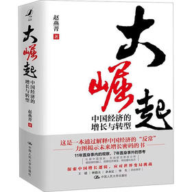 大崛起 中国经济的增长与转型