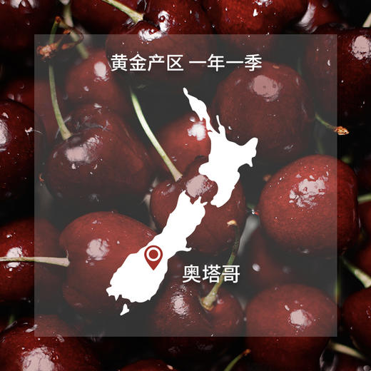 【预售1箱】oravida新西兰进口车厘子礼盒装28mm *1kg 商品图3