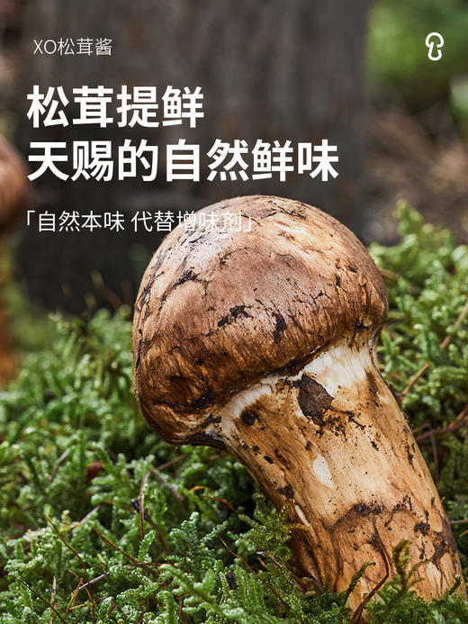 清心湖XO松茸酱200g纯素下饭酱菜素版牛肉丝酱拌面酱微辣炒菜酱 商品图3