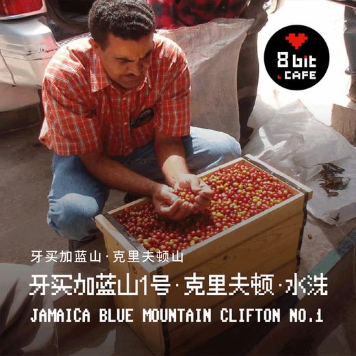 捌比特牙买加蓝山-克里夫顿庄园 水洗 中度烘焙 精品咖啡豆100g 商品图3