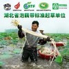 洪湖农家泡藕带400g 商品缩略图3