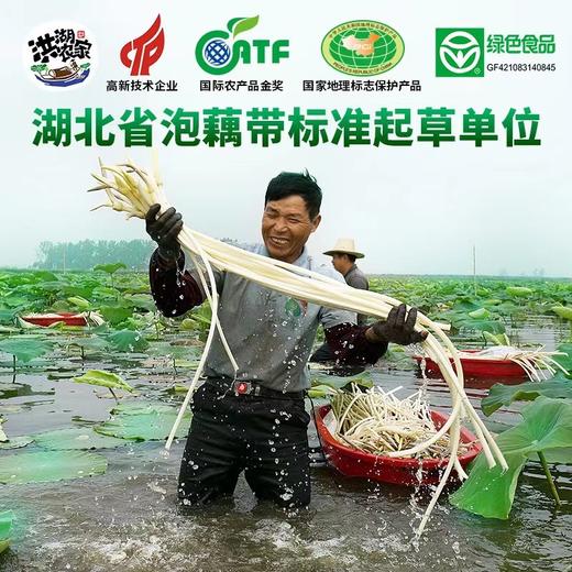 洪湖农家泡藕带400g 商品图3