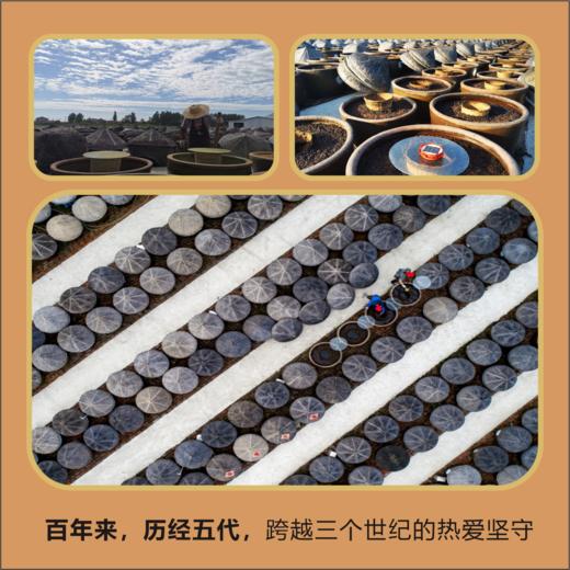 古法红烧酱油  510克 商品图3