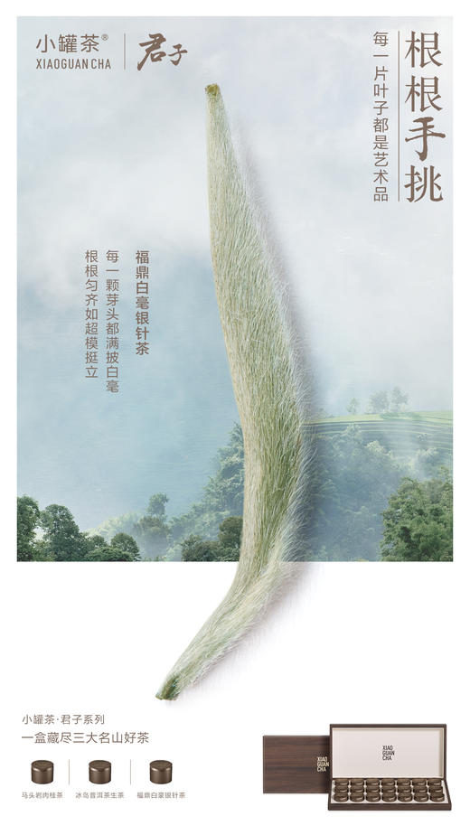 【商务送礼】小罐茶君子系列冰岛普洱马头岩肉桂福鼎白茶叶礼盒装112g 商品图9