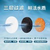 whycat饮水机配套滤芯6片 商品缩略图3