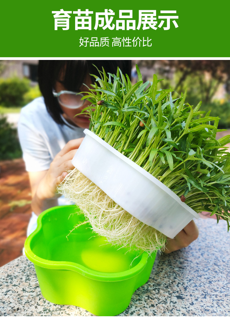 芽苗菜多彩种植盒