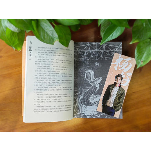 沙海 2 南派三叔 著 小说 商品图1