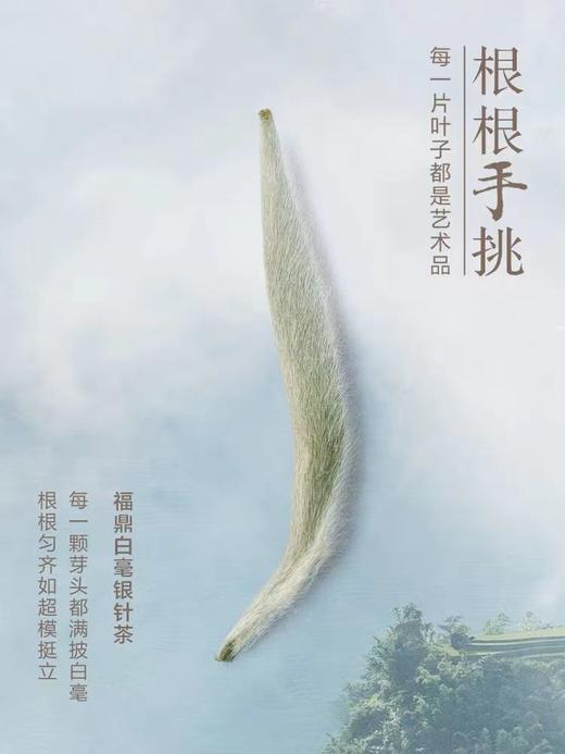 【商务送礼】小罐茶君子系列冰岛普洱马头岩肉桂福鼎白茶叶礼盒装112g 商品图2