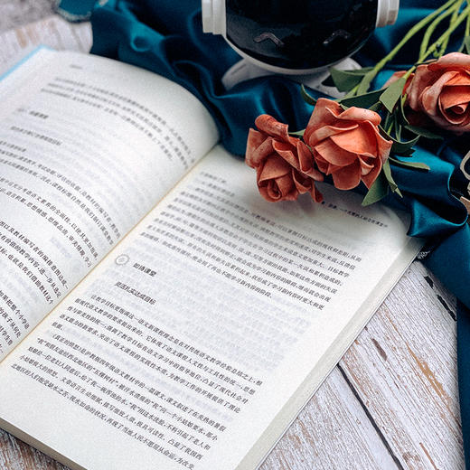 课堂如诗 雅美课堂的姿态 课堂教学新样态丛书 杨四耕 商品图7