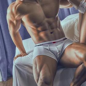 ADANNU 纯色平角内裤 AD45