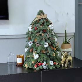 圣诞节丹麦诺贝松圣诞树零售（运费自理）