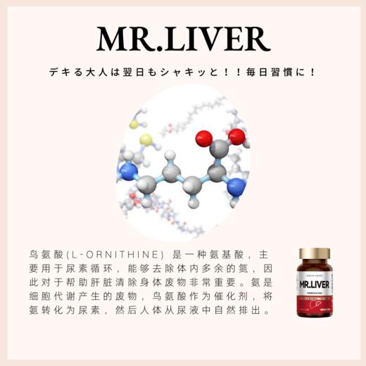 【日本直邮】和汉sinca肝先生mrliver 奶蓟草姜黄片 护肝养肝 商品图9