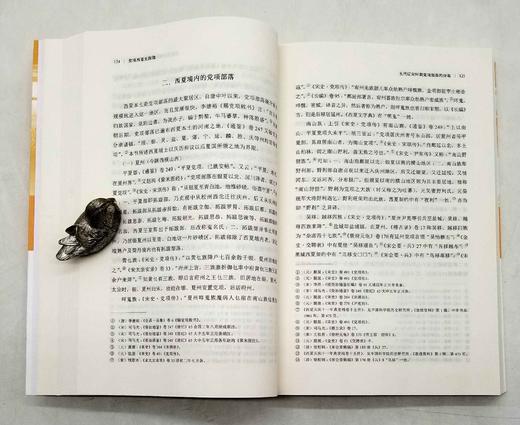 《吐火罗人起源研究》《党项西夏史探微》，徐文堪、汤开建著，商务印书馆2013年版，定价98,126，售价55,62元。总售价110元。 商品图9