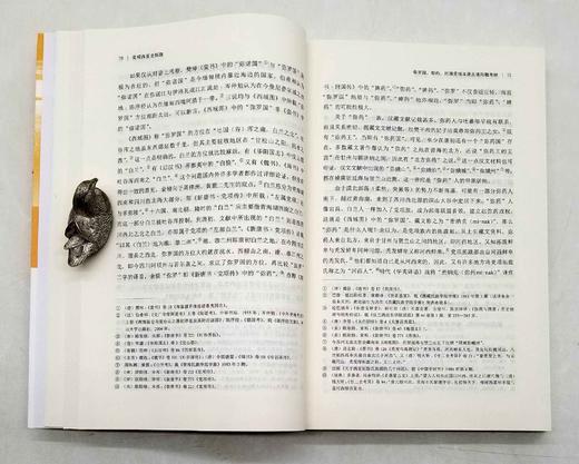 《吐火罗人起源研究》《党项西夏史探微》，徐文堪、汤开建著，商务印书馆2013年版，定价98,126，售价55,62元。总售价110元。 商品图8