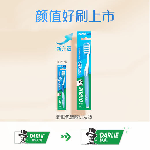 DARLIE好来(原黑人)牙刷俊朗健齿（中毛）10支 商品图1