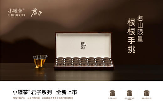 【商务送礼】小罐茶君子系列冰岛普洱马头岩肉桂福鼎白茶叶礼盒装112g 商品图5