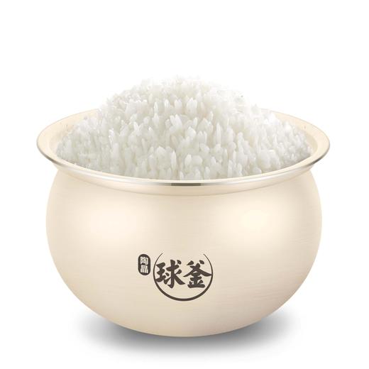 SUPOR苏泊尔小球釜电压力锅SY-23FC27Q陨石灰    2.3L 商品图4