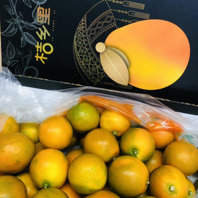 【🍊脆蜜金柑】，果皮脆爽果肉蜜甜，连皮吃没有一点涩味！富含高维生素，桔香浓郁，天然的维C宝藏💯世界公认的水果洗肺机👍🏻秋冬干燥咳嗽哮喘，多吃脆密金柑，一款可以甜到心里的金柑😋