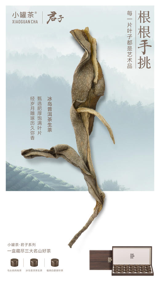 【商务送礼】小罐茶君子系列冰岛普洱马头岩肉桂福鼎白茶叶礼盒装112g 商品图10