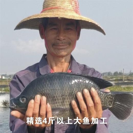 三色原味 海康黑鲷鱼骨架1.5kg 商品图1