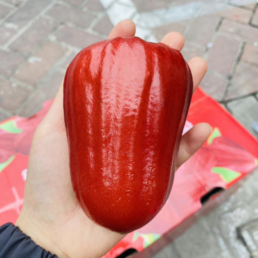 海南空运 黑金刚莲雾 商品图4