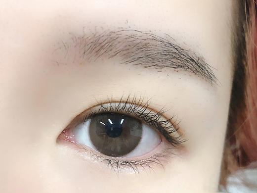 DorisCon旗下 黑莓冻&榛子酱  14.5mm白狮参考着色中大直径  韩产半年抛2片 商品图7