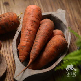 生态胡萝卜 | 合作生产 *Eco-Carrot | Coproduction