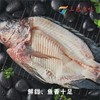 三色原味 海康黑鲷鱼骨架1.5kg 商品缩略图0