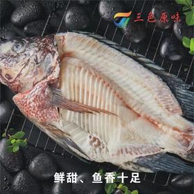 三色原味 海康黑鲷鱼骨架1.5kg