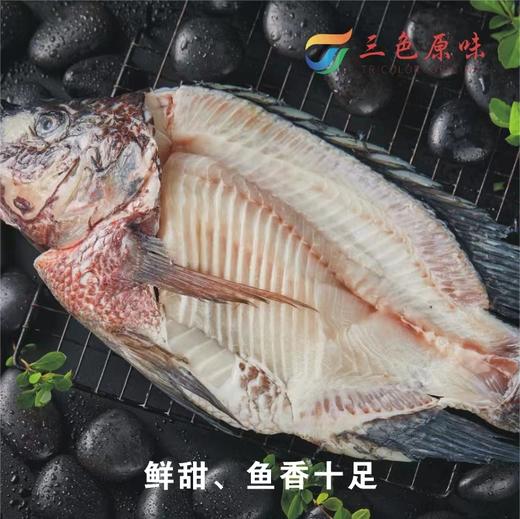三色原味 海康黑鲷鱼骨架1.5kg 商品图0