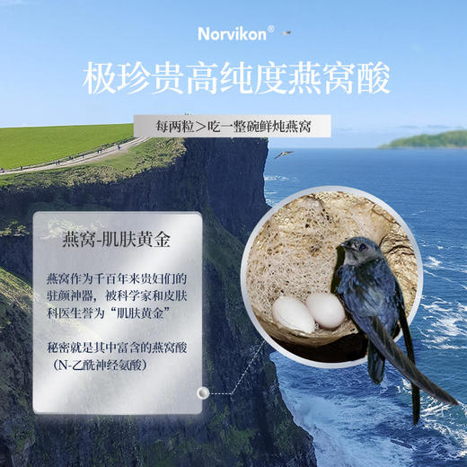 【每日2粒≈1碗鲜炖燕窝】美国Norvikon诺维肯燕窝酸软糖富含燕窝酸90粒/罐 商品图1