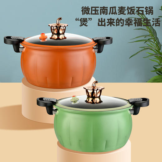 【设计感满满】新款多功能微压锅，8L大容量不粘燃气灶通用南瓜高压锅 商品图0