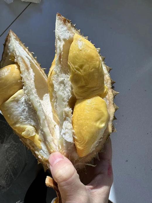 哈尔滨同城落地配送，小猫山王D197 巴掌榴莲 整颗 【包3房及以上，基本3-4房】饱满多肉液氮极冻！基地直邮 商品图0