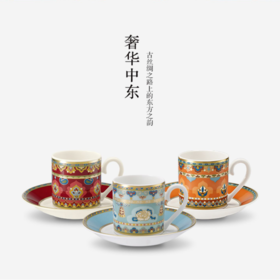 德国唯宝进口骨瓷马克杯咖啡杯陶瓷便捷欧式奢华中东